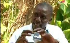 Affaire Taib Socé : Un petit-fils de Serigne Touba met les pieds dans le plat