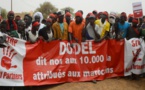 Dodel : La Cour Suprême annule l’affection d’un terrain de 10.000 hectares au groupe Afri Partners