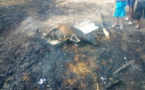 VIDEO - Commune de Ndiaffate : Un incendie d'une rare violence ravage tout sur son passage