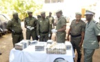 Tambacounda: Plus d'une tonne de drogue saisie en 20 jours