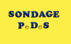 SONDAGE - PDS : Qui peut remplacer Wade?