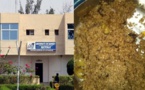 Urgent : attaque à mains armées à l’université Alioune Diop de Bambey