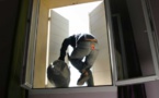 L'apprenti-chauffeur se rend chez sa copine et y subtilise 4 portables