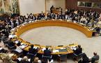 Organisation des Nations Unies: La demande d'adhésion de la Palestine rejetée?