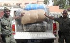 Trafic de stupéfiants: Ziguinchor carrefour du « Yamba »