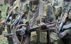 Casamance: Le chef des rebelles plus fort que prévu