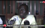 Serigne Mboup : "Les daaras constituent de vrais entreprises sociales..."