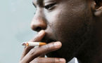 Santé: la nicotine plus addictive que la cocaïne (études)