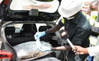 20 PHOTOS: Voici la cargaison de drogue saisie au Mole 1 du Port de Dakar 