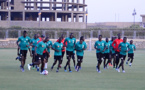 VIDEO - CAN 2019 : 21 Lions à l’entraînement, ce samedi