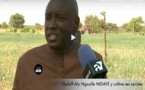 VIDEO - DJOLOFF: Aly Ngouille NDIAYE y cultive ses racines