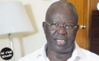 VIDEO - Babacar Gaye: « Le Pds tel qu’il fonctionne, manque de sérieux »