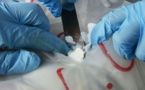 10 ans de travaux forcés requis pour trafic de drogue: La guinéenne  avait dissimulé 530g d’héroïne dans son sexe