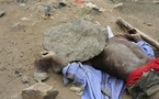 De Balla Gaye à Ndiaga Diouf : La longue liste des morts sous l’Alternance