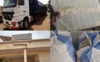 Tambacounda: La Douane saisit près de 600 kg de chanvre indien en une semaine