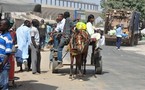 SENEGAL : 2012 démarre en charrette (Images de Dakar en calèche)