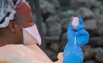 Contre le virus Ebola, deux médicaments offrent de nouvelles pistes