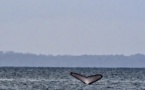 G7: La protection des océans au menu des discussions de la journée
