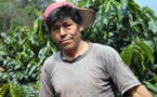 Pourquoi la forêt amazonienne brûle aussi en Bolivie