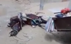 VIDEO - HLM : Les images terrifiantes d’un cheval électrocuté