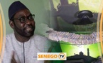 VIDEO - Les 100 millions bouclés: «Taïb Socé a versé des larmes… » (Fadel Guèye)