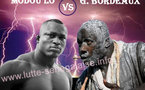 Modou Lo /Gris Bordeaux : Fass a « rompu les négociations avec Luc depuis… »