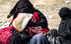 Neuf enfants de djihadistes ont atterri en France ce mardi