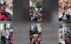 [Photos] New York : Des Sénégalais vilipendent Macky devant le siège des Nations Unies