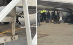 Maroc: Un Guinéen retrouvé mort dans le train d’atterrissage d’un avion