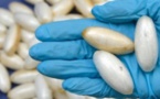 Italie: Un Sénégalais avale 10 boulettes de cocaïne pour…
