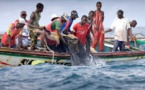 Sénégal: 61 pêcheurs morts en mer durant le premier semestre de 2019
