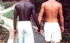 SFR offre un congé paternité à ses salariés homosexuels