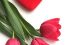Saint-Valentin : Un patron de presse envoie le cadeau de sa maitresse à sa femme