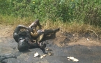 Un aveugle calciné par le feu allumé par son épouse