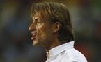 Renard pense au Sénégal