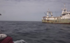 Sénégal : pilleurs des mers |