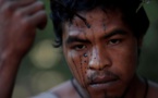 Au Brésil, un défenseur de la forêt assassiné en territoire indigène