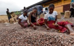 Cacao ivoirien: La menace d’un embargo américain