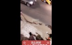 VIDEO - Grosse frayeur aux Maristes: un serpent sort du lac