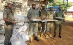 Saisie d’une tonne de chanvre indien à Kédougou: Comment les trafiquants ont été démasqués  (images)