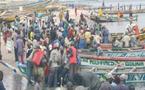 Pêche artisanale : Les acteurs veulent ester en justice contre le ministre Khouraïchi Thiam