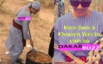 PHOTOS - Moisson à Khelcom : Sokhna Aidara à l’œuvre