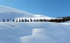 50 morts et 145 disparus dans une avalanche en Afghanistan