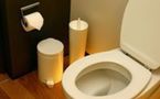 Hygiène pratique : faut-il avoir peur des WC ?