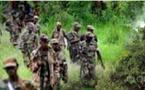 Second tour en Casamance: Des rebelles menacent de perturber le scrutin