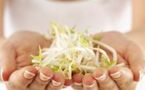Vivre longtemps en bonne santé avec le programme Okinawa