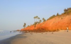 Gambie: Des arbres comme rempart face au recul du littoral