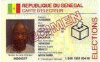 Confection d’un million de cartes d’électeur, distribution du stock restant : La fraude angoisse Benno Bokk Yaakaar