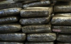 Drogue: La police saisit 41 kilos de chanvre indien de type «Brown» 