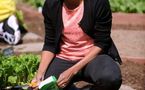 Michelle Obama les mains dans son potager quand Barack débat sur le nucléaire
